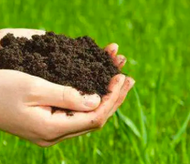 肥料的日照肥料检测标准是怎么样的